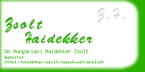 zsolt haidekker business card